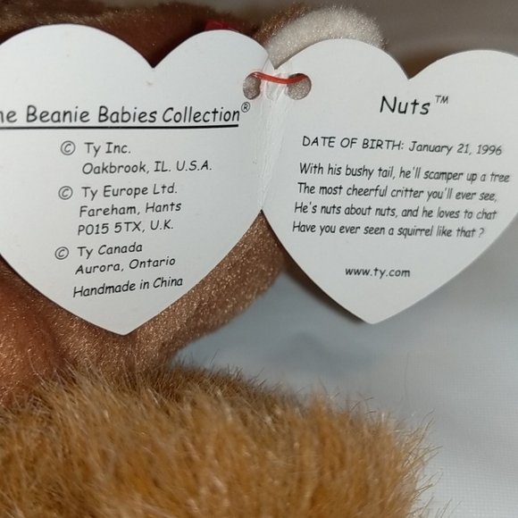 Beanie Baby  Nuts the Squirrel - Picture 4 of 5